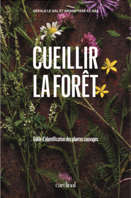 Cueillir la Forêt Gourmet Sauvage