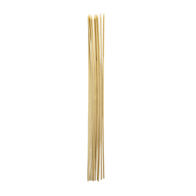 Roasting Sticks