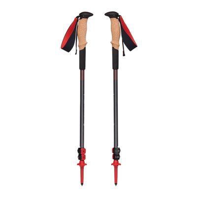 Bâtons de marche Pursuit Shock Black Diamond