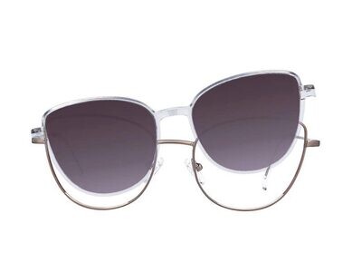 JSV-223 C.007