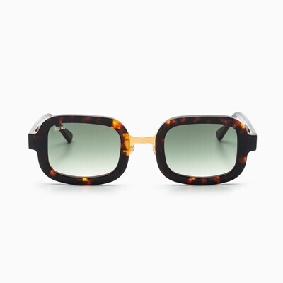 BustOut KUN TORTOISE- GOLD/G15