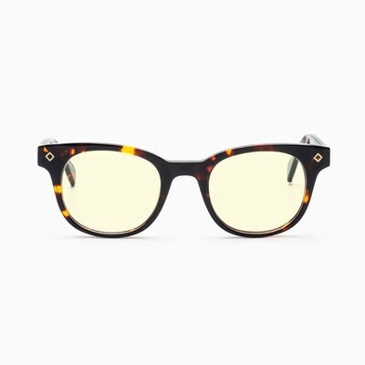BustOut WILL TORTOISE/YELLOW