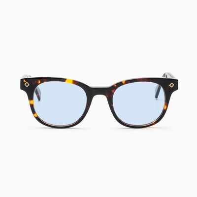 BustOut WILL TORTOISE/LIGHT BLUE