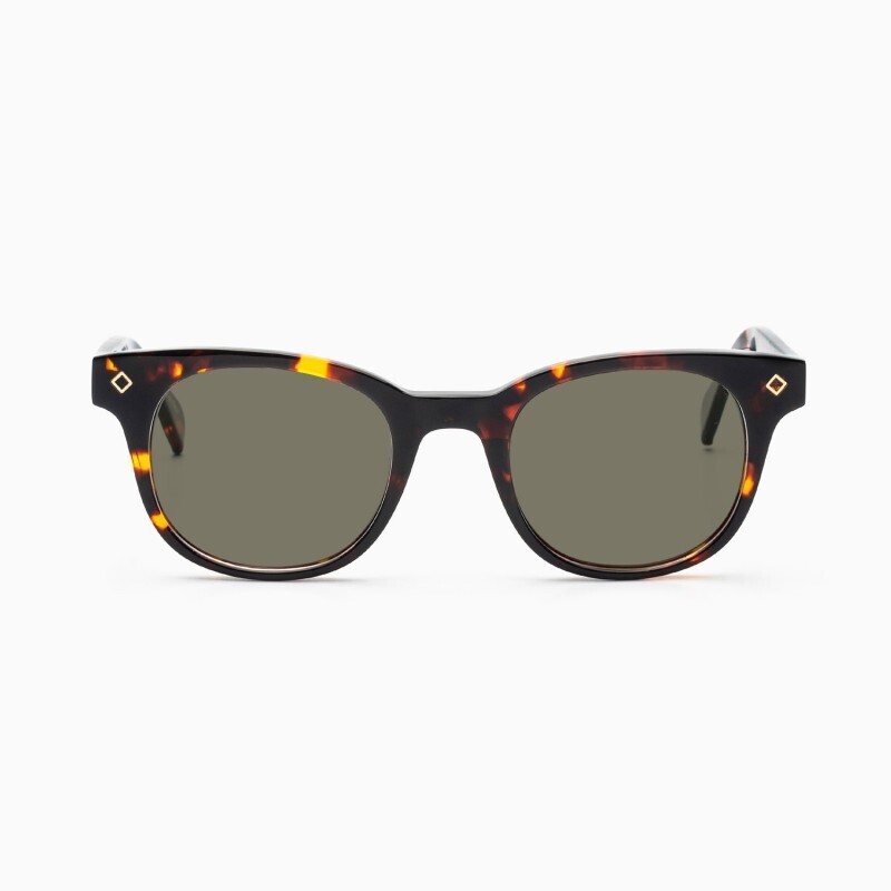 BustOut WILL TORTOISE/G15