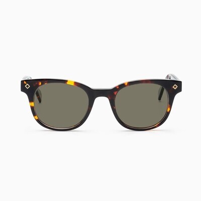 BustOut WILL TORTOISE/G15