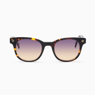 BustOut WILL TORTOISE/PURPLE - YELLOW