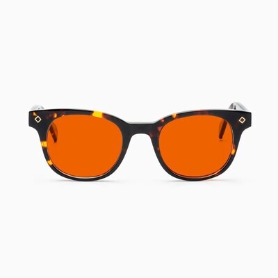 BustOut WILL TORTOISE/ORANGE