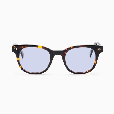 BustOut WILL TORTOISE/PURPLE