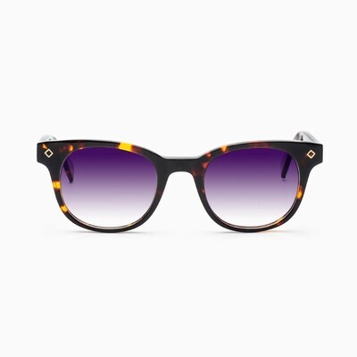 BustOut WILL TORTOISE/SMOKE PURPLE