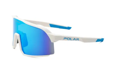 POLAR SKATE