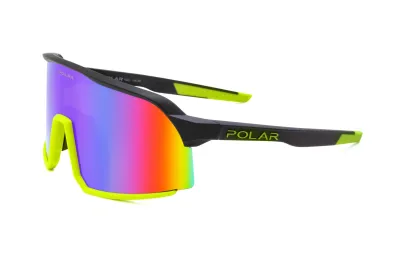 POLAR SKATE