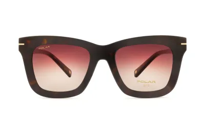 POLAR GOLD CLIP-ON 81 C. 428