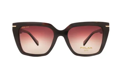 POLAR GOLD CLIP-ON 48 C. 428