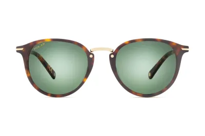 POLAR GOLD NICO SUN COL 428/G