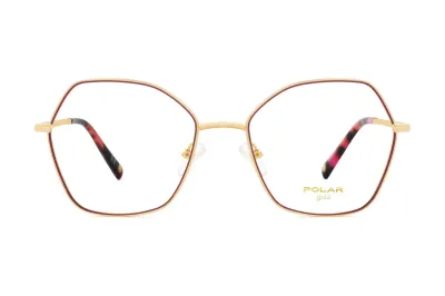 POLAR GOLD 2009 COL 22