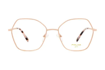 POLAR GOLD 2009 COL 08