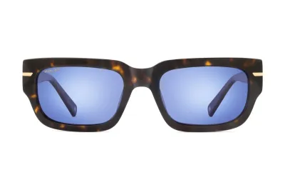 POLAR GOLD AMOS COL 428/N