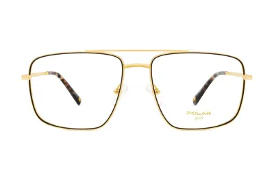 POLAR GOLD 2007 COL 78