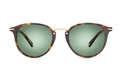 POLAR GOLD NICO SUN COL 428/G