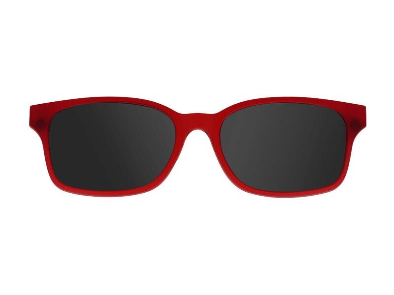 IGPL002 CLIP PER iGreen Plus