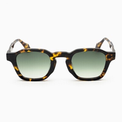 BustOut-BSTT - OCTOPUS TORTOISE