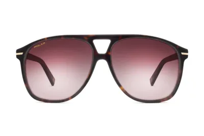 POLAR GOLD 3037 SUN COL. 428/R