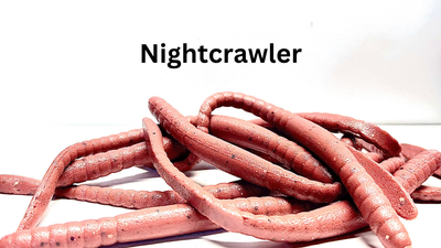Crawler Finesse Worm