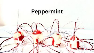 Peppermint Hairy Nuggets (Limited time)