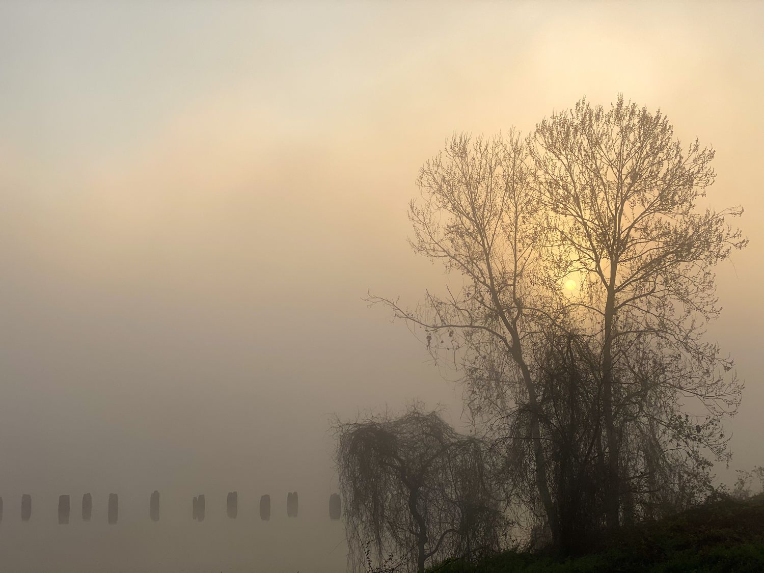 Red River Daybreak