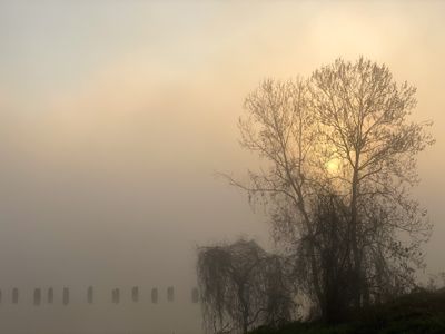 Red River Daybreak