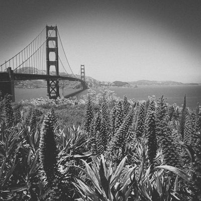 Golden Gate B&amp;W
