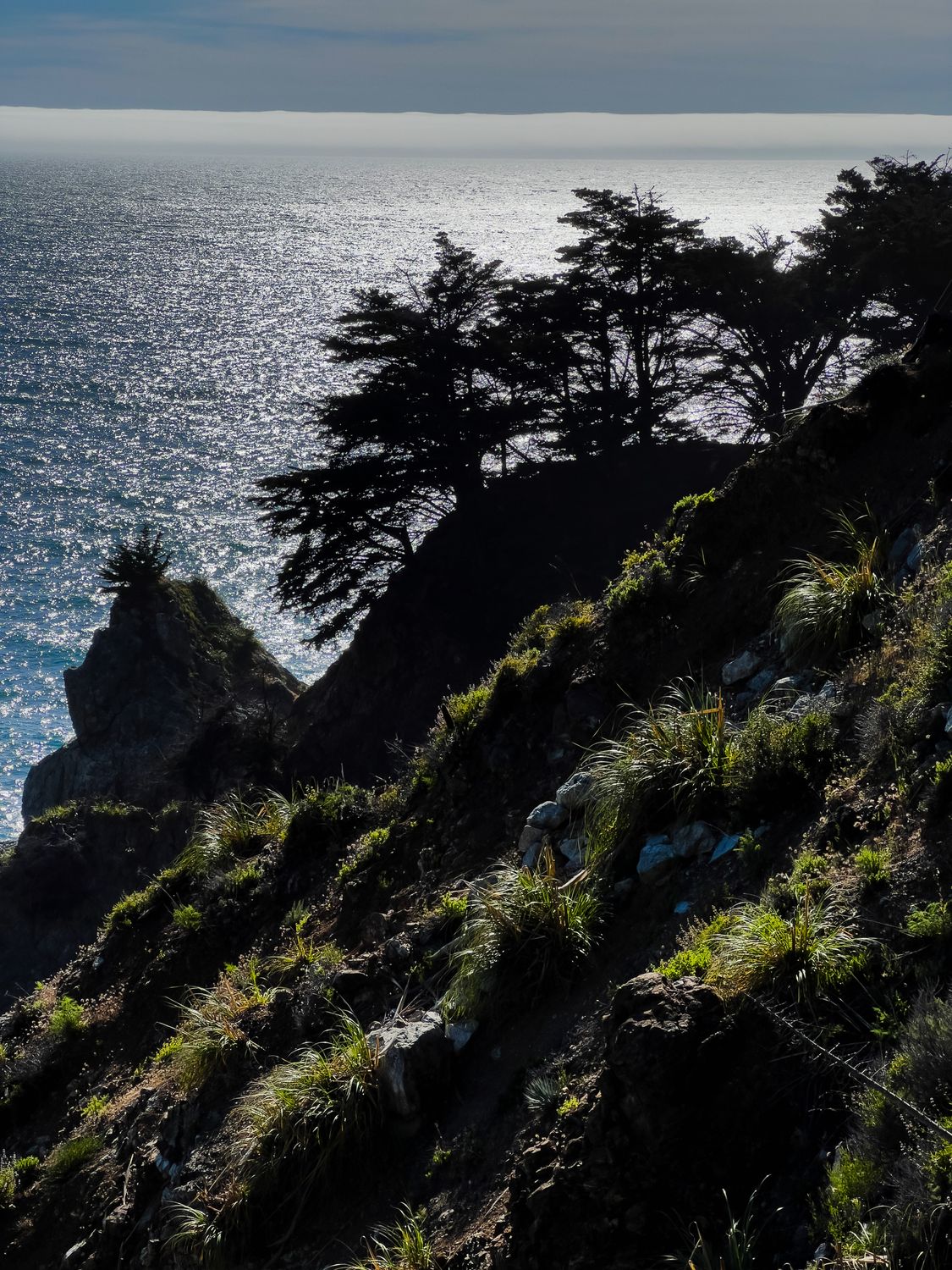 Partington Cove Trail