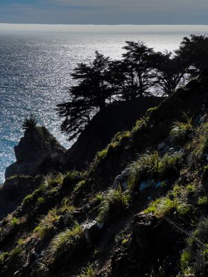 Partington Cove Trail