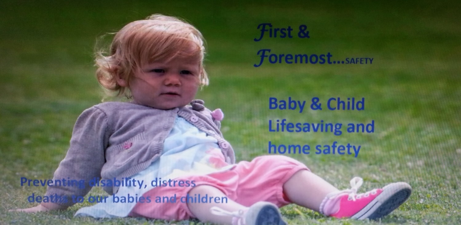 Baby & Child Lifesaving Book Baby & Child Lifesaving Book