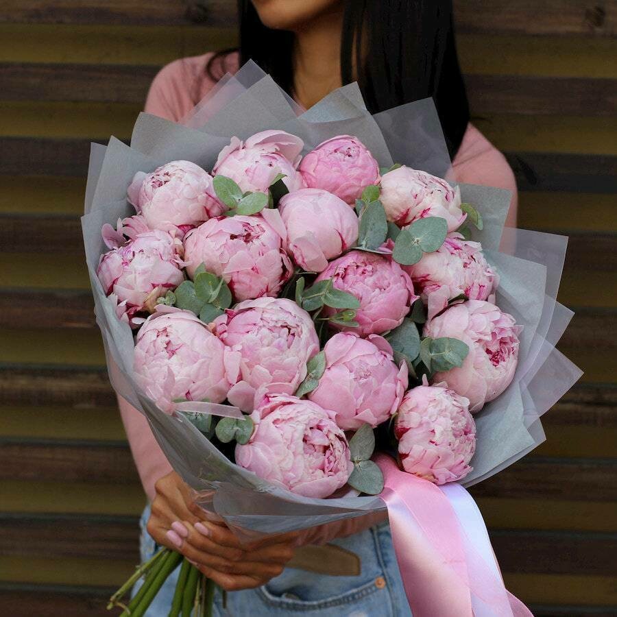 Голландские пионы 15 шт
