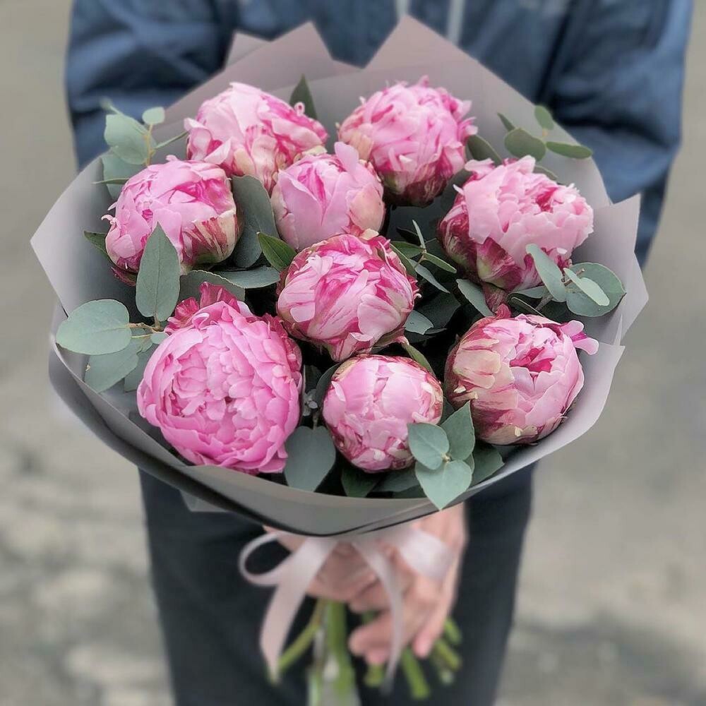 Голландские пионы 9 шт