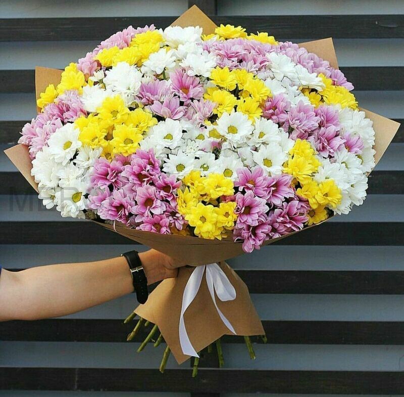 Букет из 25 хризантем