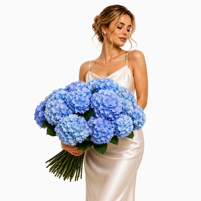 Hydrangea