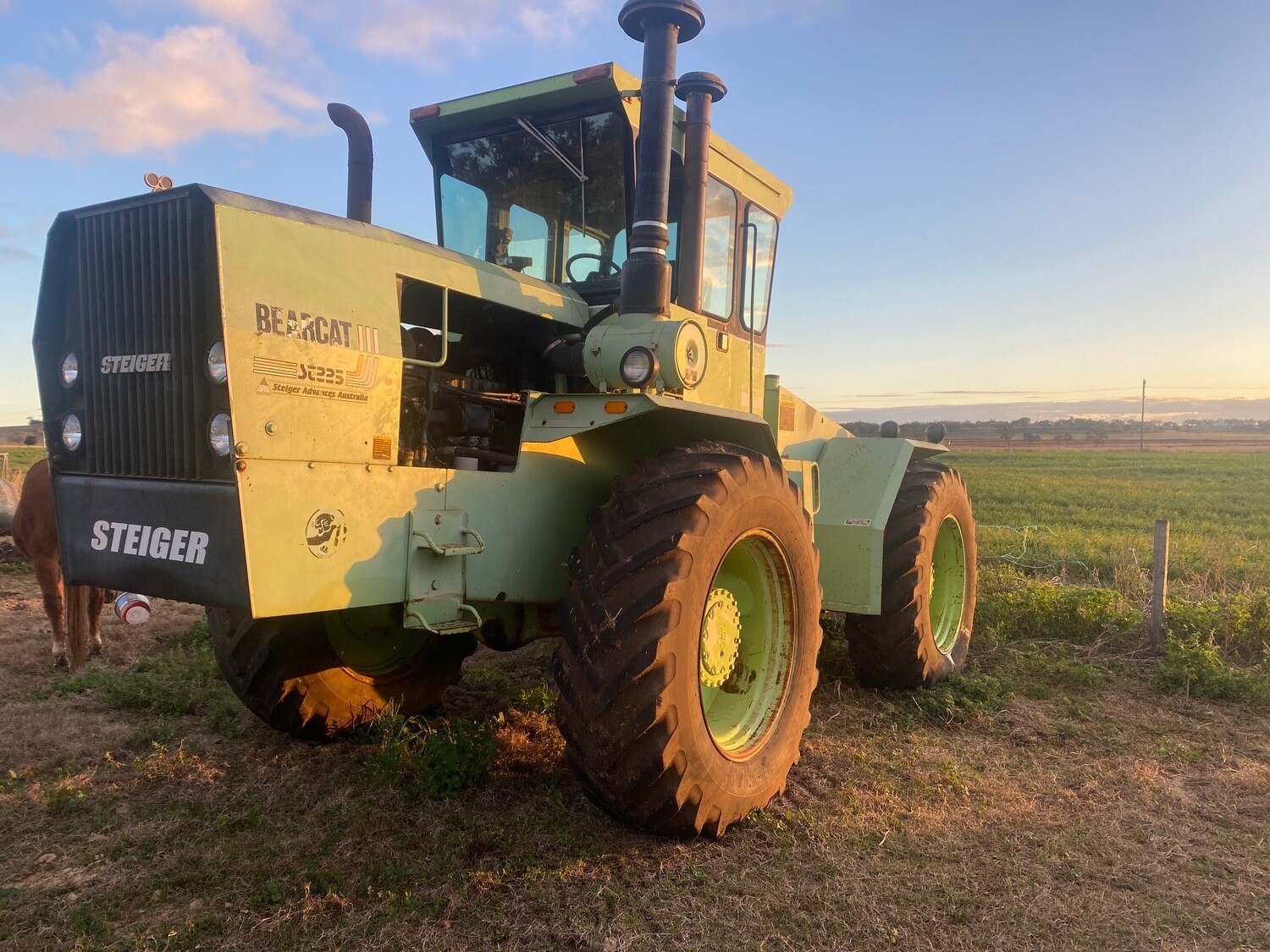 Steiger Bearcat