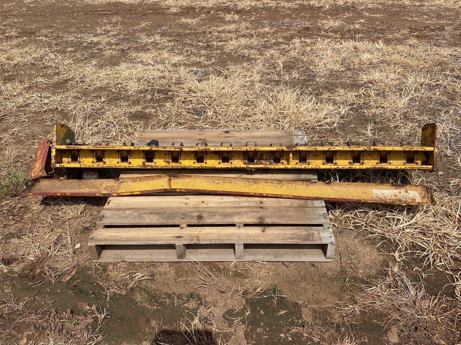 Connor shea small seed box