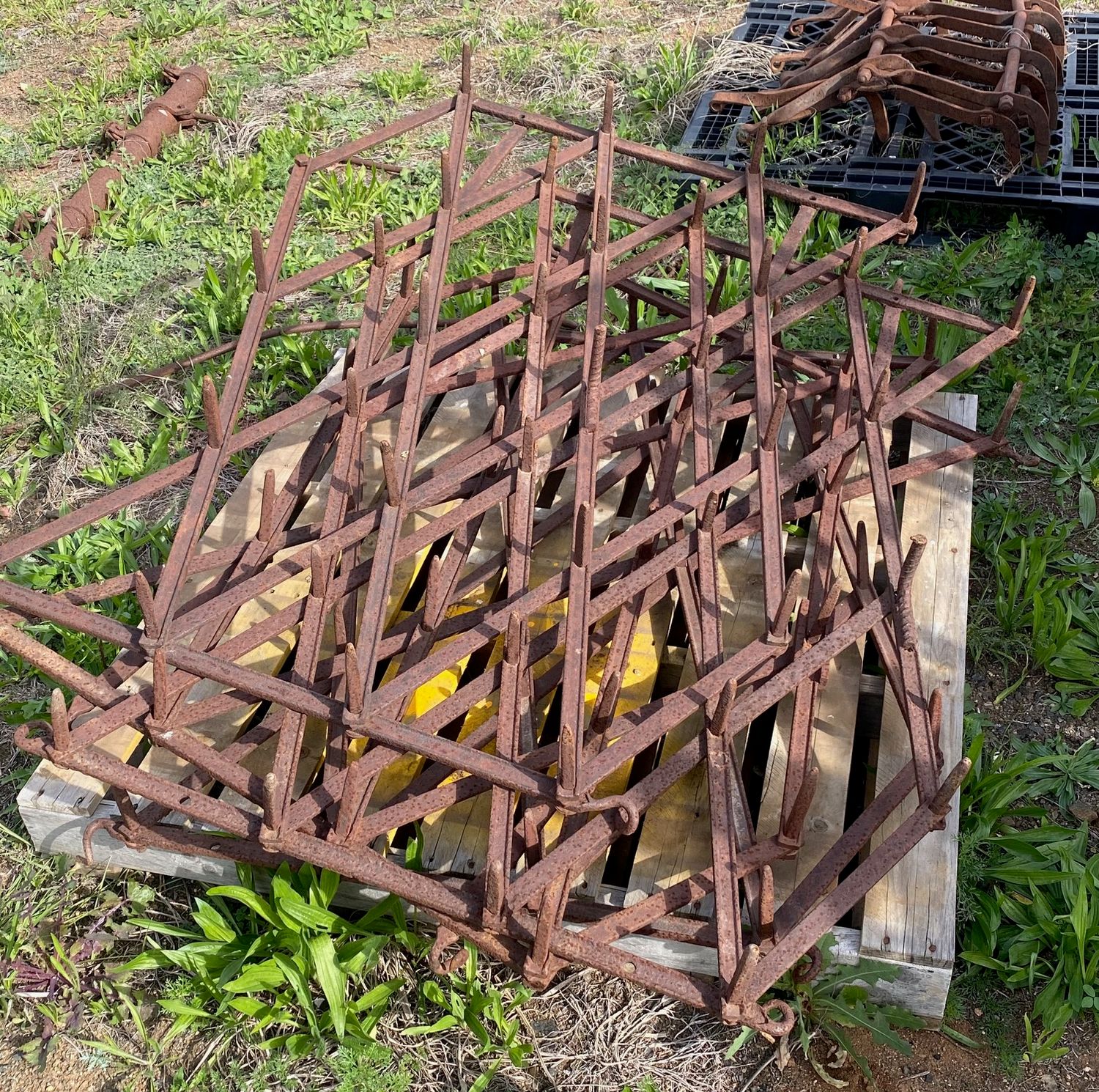 Diamond Harrows  (G090)