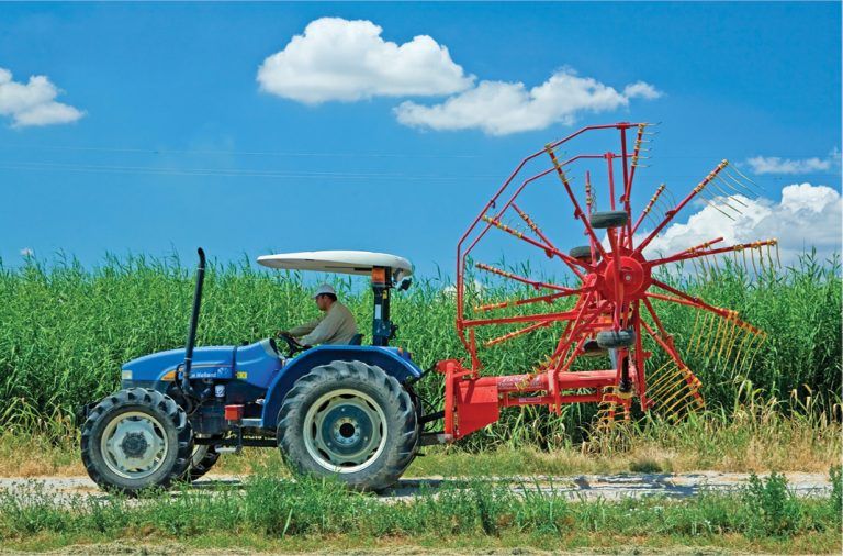 Minos Agri T-COT 655 – Twin-Rotor Rake