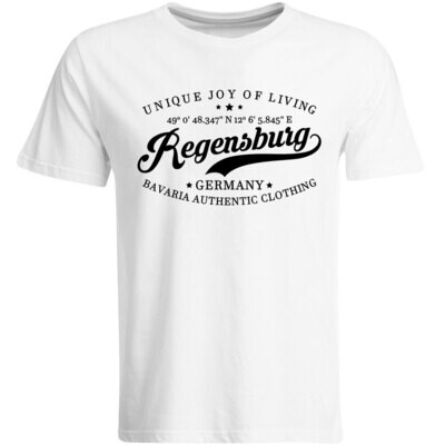 Regensburg T-Shirt mit GPS Koordinaten (Herren, Rundhals- oder V-Ausschnitt)