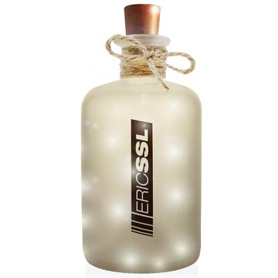 Eric SSL Flaschenlicht (Dekoflasche im Frost-Look mit integrierter LED-Beleuchtung)
