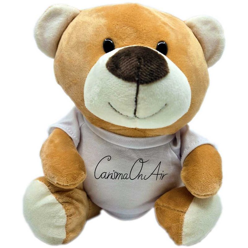 CarismaOnAir Teddybär mit Fanshirt und superweichem Fell (Höhe: 23cm)