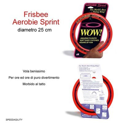 Frisbee Aerobie