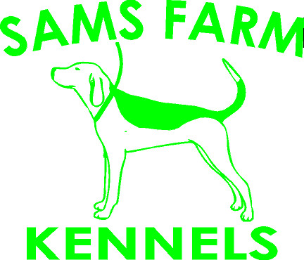 BENCHING WALKER - Set of Two 6.5&quot; Custom Window Decals - 7 colors, Color: Neon Green