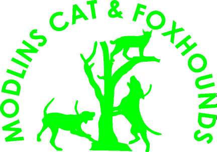 TREED BOBCAT - Set of Two 6.5&quot; Custom Window Decals - 7 colors, Color: Neon Green