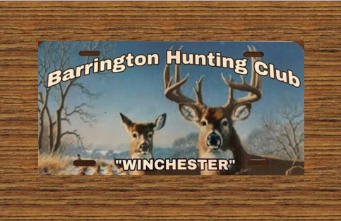 Winter Scene - Custom License Plate