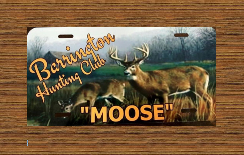 Fall Scene - Customized License Plate